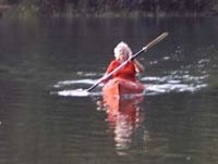 Kanuausflug auf der Enz